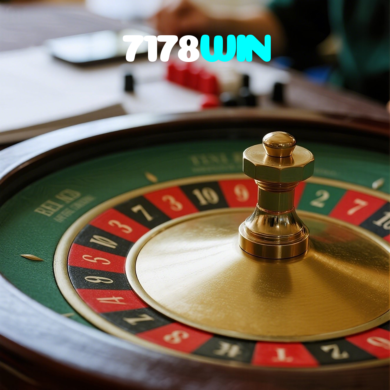 7178WIN visual