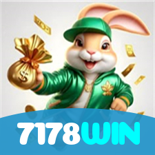 7178WIN visual
