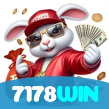 7178WIN visual