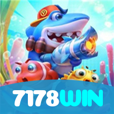 7178WIN visual