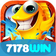 7178WIN visual