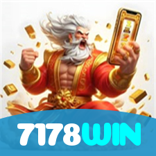7178WIN visual