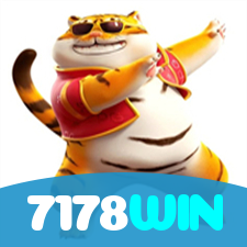 7178WIN visual