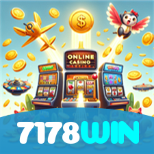 7178WIN visual