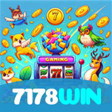 7178WIN visual