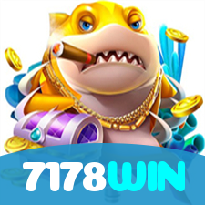 7178WIN visual