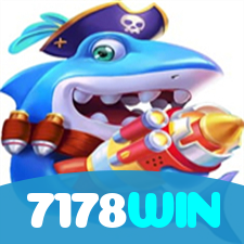 7178WIN visual