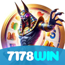 7178WIN visual