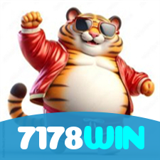 7178WIN visual