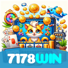 7178WIN visual