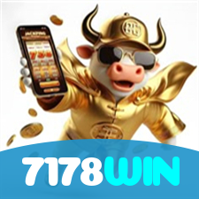 7178WIN visual