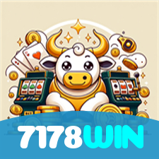 7178WIN visual